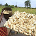 GMB announces new maize price