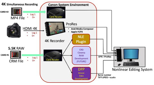 Typical video workflow for EOS-1D X Mark III
