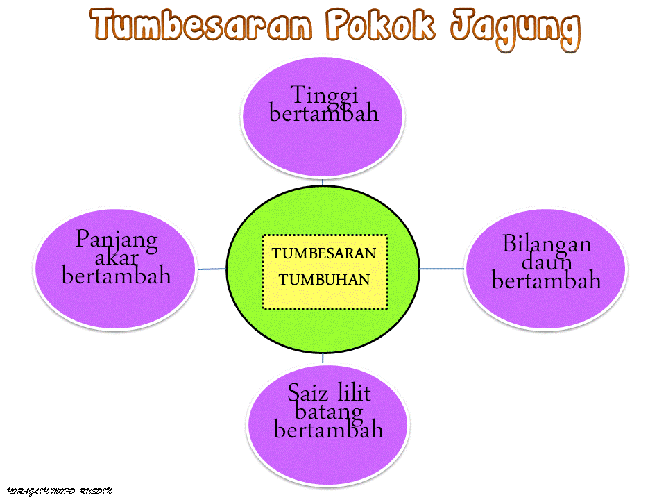 Dunia Sains dan Teknologi (Belajar dengan Ceria): DST 