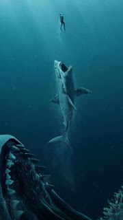 سحر وجمال صور سمك القرش