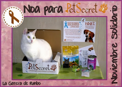 Gata posando para Noviembre Solidarios de PetSecret