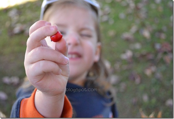 kikiberry1-wm