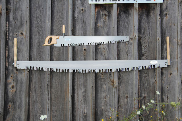  Crosscut Saw