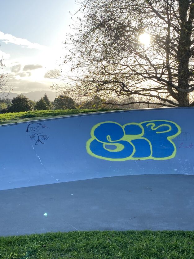 Snap Send Solve được sử dụng để báo cáo hình vẽ graffiti lên hội đồng địa phương ở bất kỳ đâu tại New Zealand.