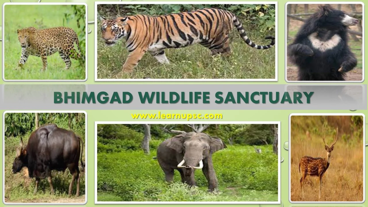 Bhimgad Wildlife Sanctuary