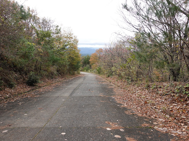 グランソール大山希望ヶ丘 管理用道路