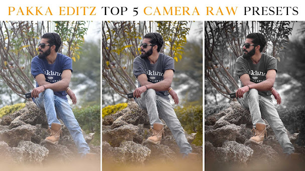 Top 5 Pakka Editz Camera Raw Presets For Photoshop