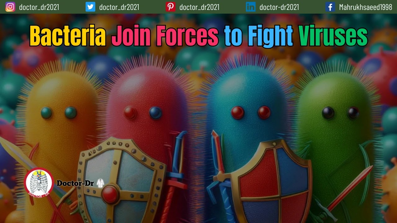 An image of a colorful bacterial cell with two different defense systems depicted as shields or warriors, standing together to fight off a phage virus.