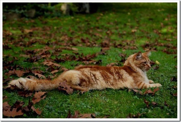 IMG_7518 IMG_7518