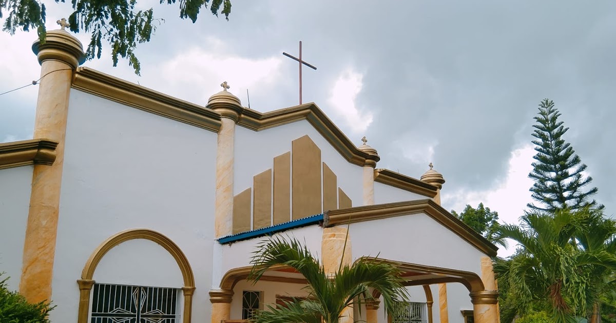 Mary Help of Christians Quasi-Parish - Aranda, Hinigaran, Negros Occidental