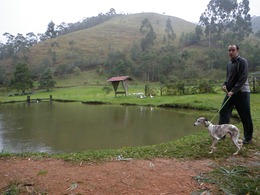 Dogs Trekking 4 (252)