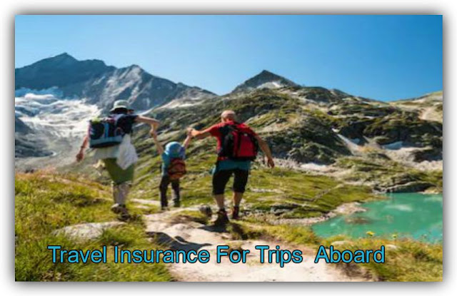 Online Travel Insurance Apps Purchase Your Summer Trips