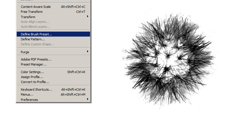 Creating Photoshop Dandelion Brush From Photo