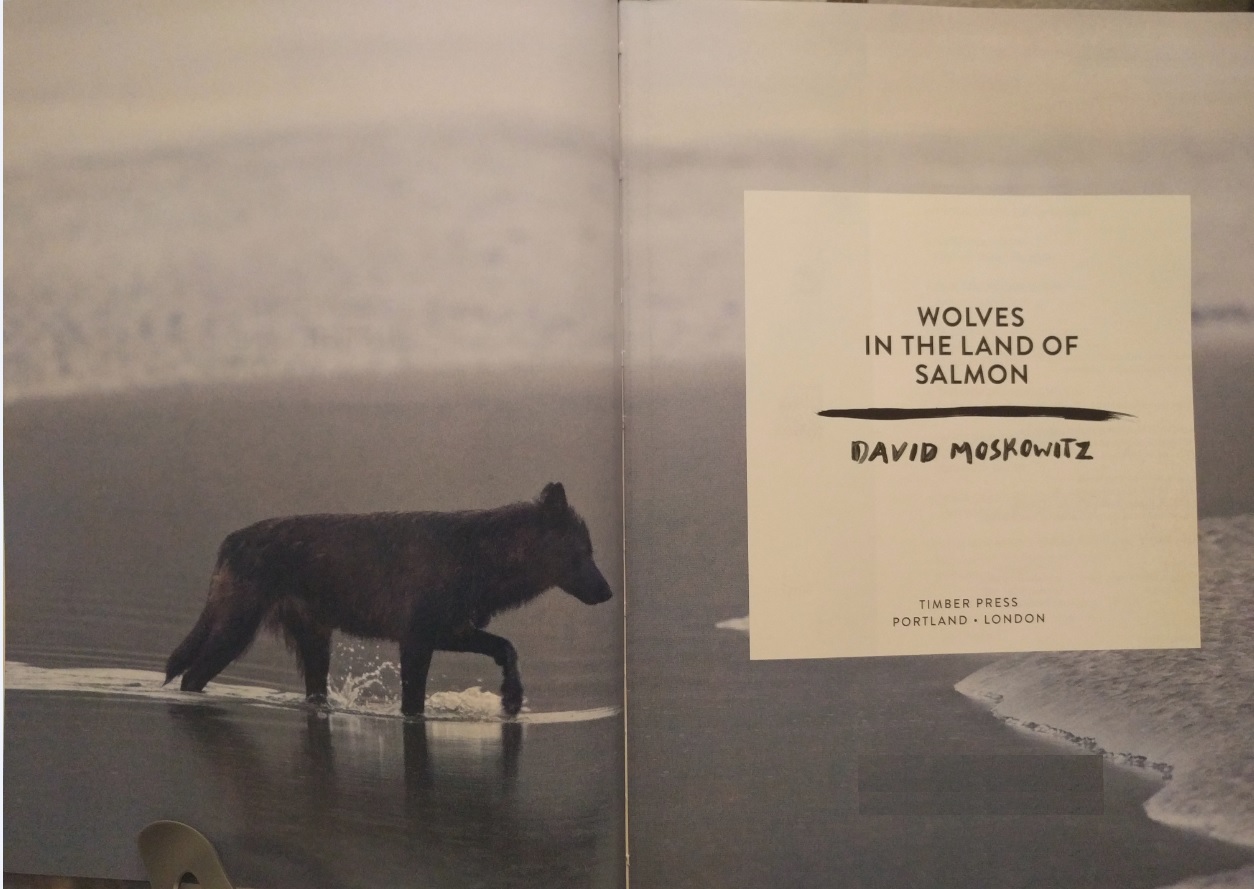 Wolves In The Land Of Salmon By David Moskowitz