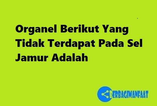 Organel Berikut Yang Tidak Terdapat Pada Sel Jamur Adalah