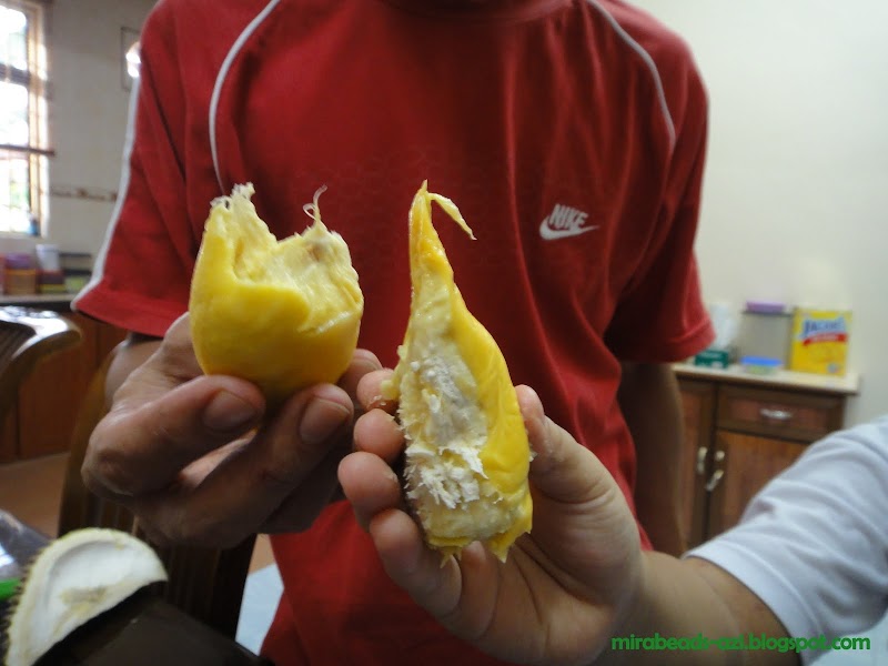 Kisah durian..