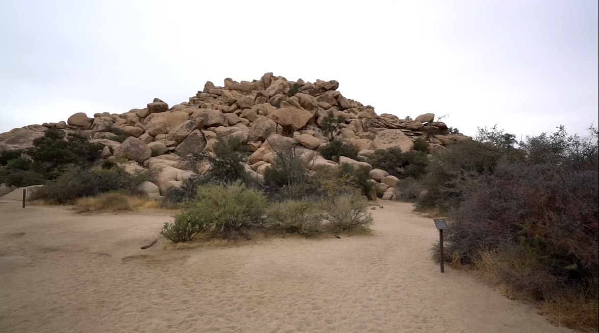 Joshua Tree National Park
