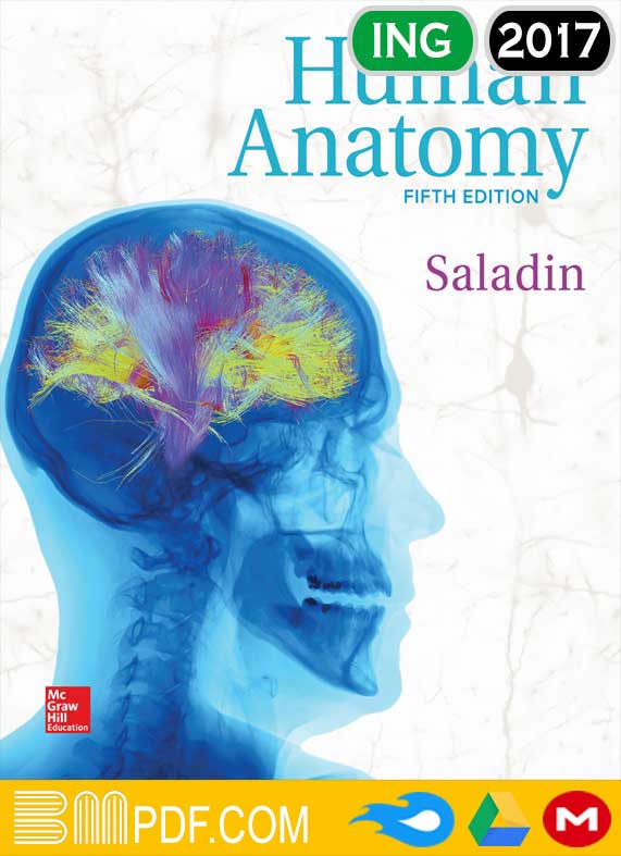 Saladin Human Anatomy 5th edition PDF, human anatomy