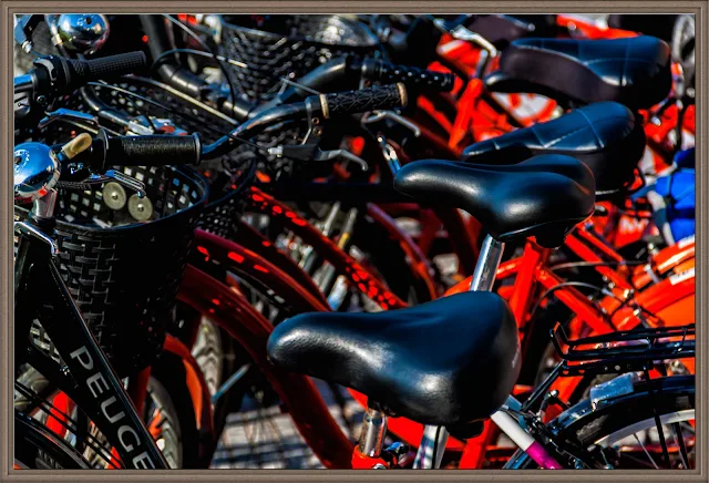 Conjunto de bicicletas,asientos predominantes 