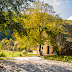 Our Cottage in the Mountains