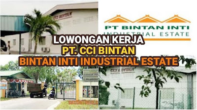 PT. CCI BINTAN adalah perusahaan asal Singapura yang bergerak di bidang manufaktur komponen (SMD inductors) dan fabrikasi untuk kebutuhan industri elektronik. Alamat PT. CCI Bintan di Kawasan Industri Bintan Inti Industrial Estate, Bintan dan berada di satu kawasan dengan PT. Esco Bintan Indonesia, PT. Pepperl + Fuchs Bintan, PT. Yoshikawa Electrnics Bintan, dll