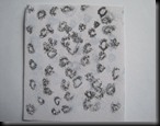 Image 1. 2.3