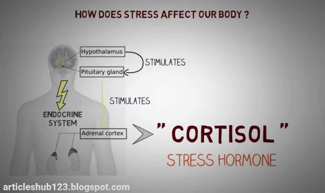 What is stress...? 