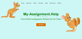 my assignment help review