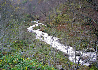 Río de Ventaniella