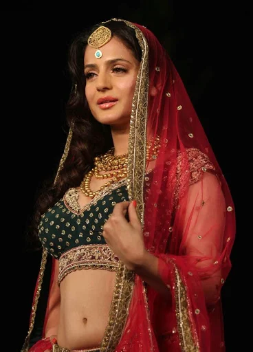 Ameesha Patel looking stunning in a traditional lehenga-choli