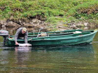 Salmon Fishing