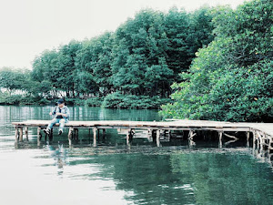 Wisata Hutan Mangrove Pesawaran Tempatnya Pas Banget Buat Merefresh Pikiran
