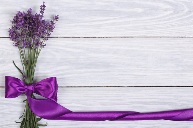  Gambar  Bunga  Lavender Yang  Sangat Indah Kumpulan Gambar 