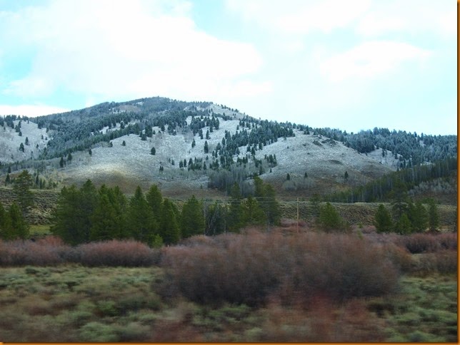PA269995