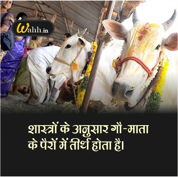 Motivational Cow Quotes In Hindi