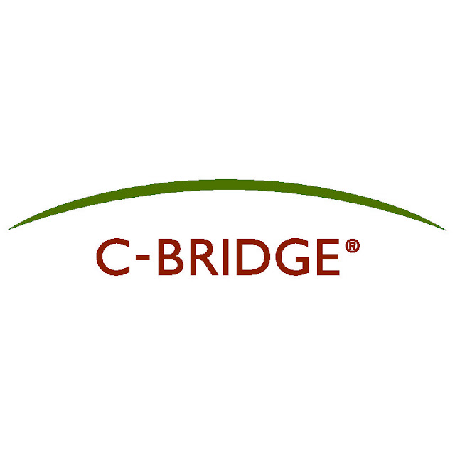 Bridge Logos6