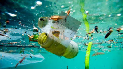 Contaminación océanos plásticos