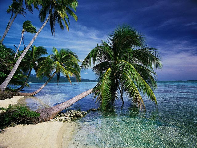 Tropical Island