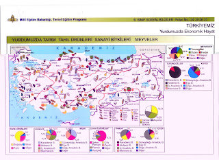 Türkiyede Tarım Tahıl Üürnleri Sanayi Bitkileri Meyveler Haritası