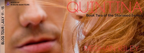 http://anightsdreamofbooks.blogspot.com/2016/07/guest-bloggiveaway-quintina-by-meghan.html