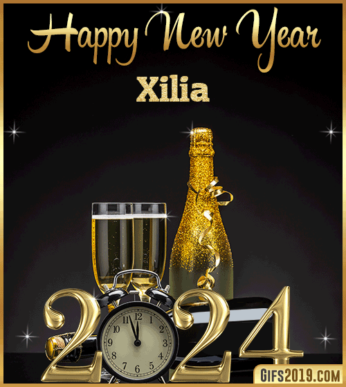 Champagne Bottles Glasses New Year 2024 gif for Xilia
