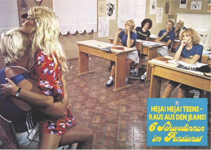 Six Swedish Girls in a Boarding School (1979) Movie - Watch Online