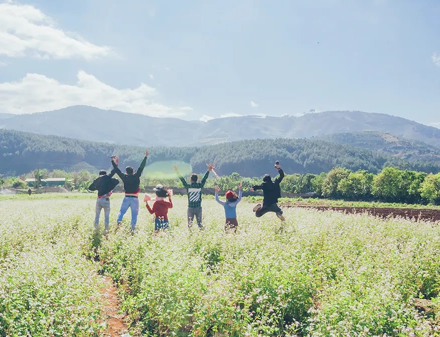 seis-personas-saltando-en-un-campo-de-cultivo