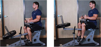 seated calf raise
