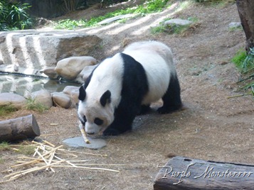 P1060080 P1060080