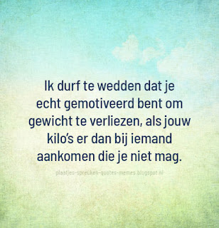 humor quotes plaatjes