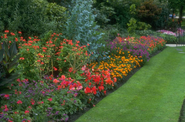 basic gardening tips for beginners, this is the place to be. Gardening ...