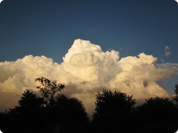spainish-ish meal, clouds, pincushions 060