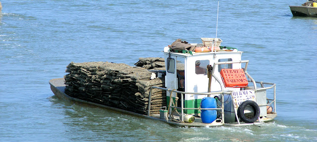 Oyster boat, Bourcefranc-le-Chapus. Charente-Maritime. France. Photo by Loire Valley Time Travel.