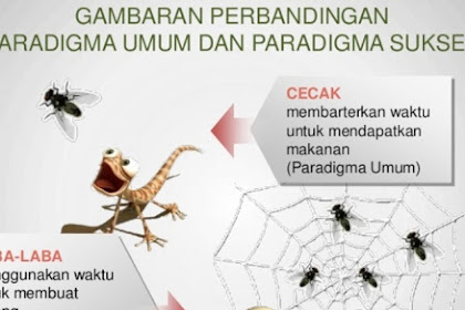 Inspirasi Dari Kisah Cicak Dan Laba-laba